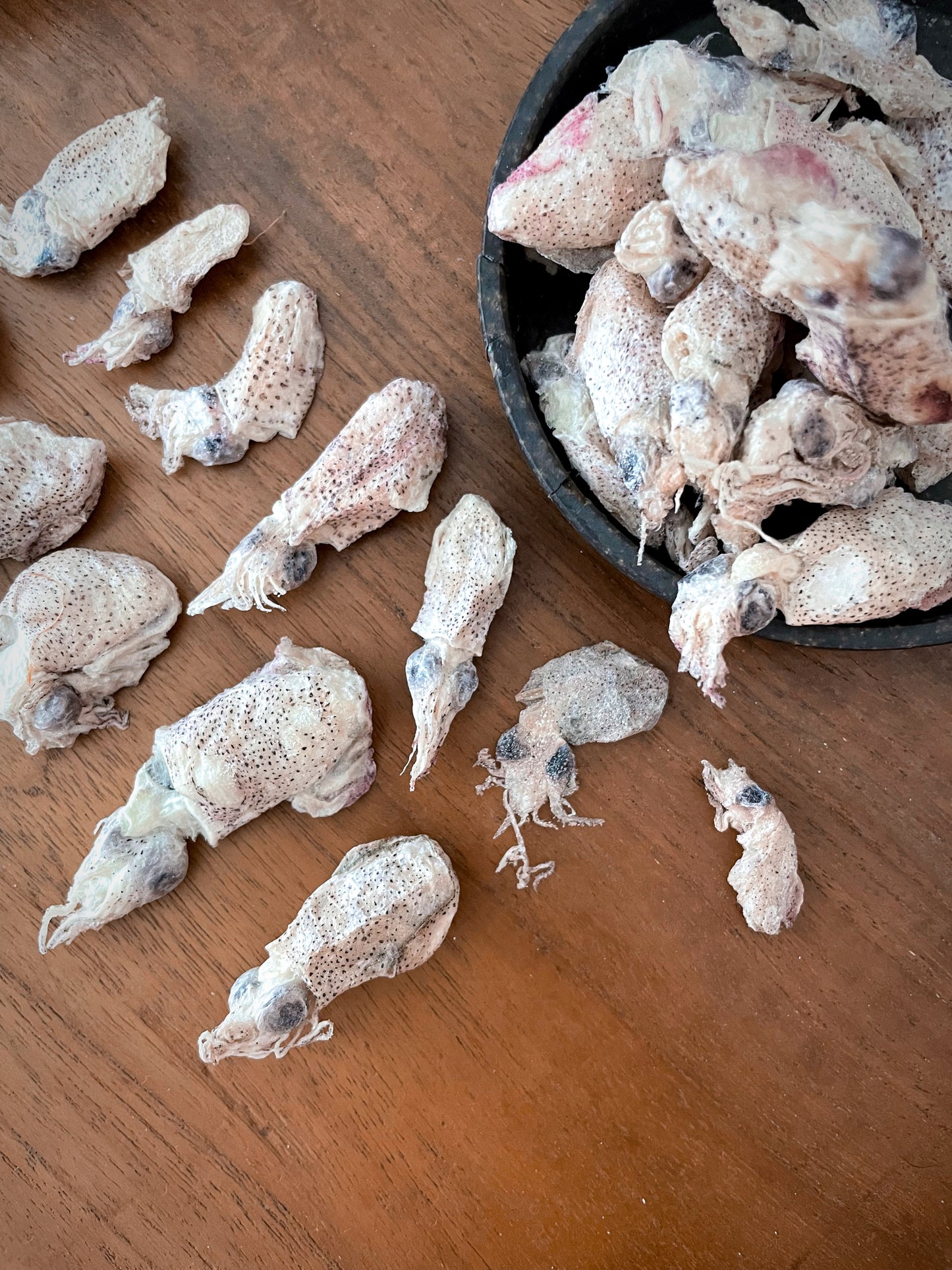 Baby Squid - 25g