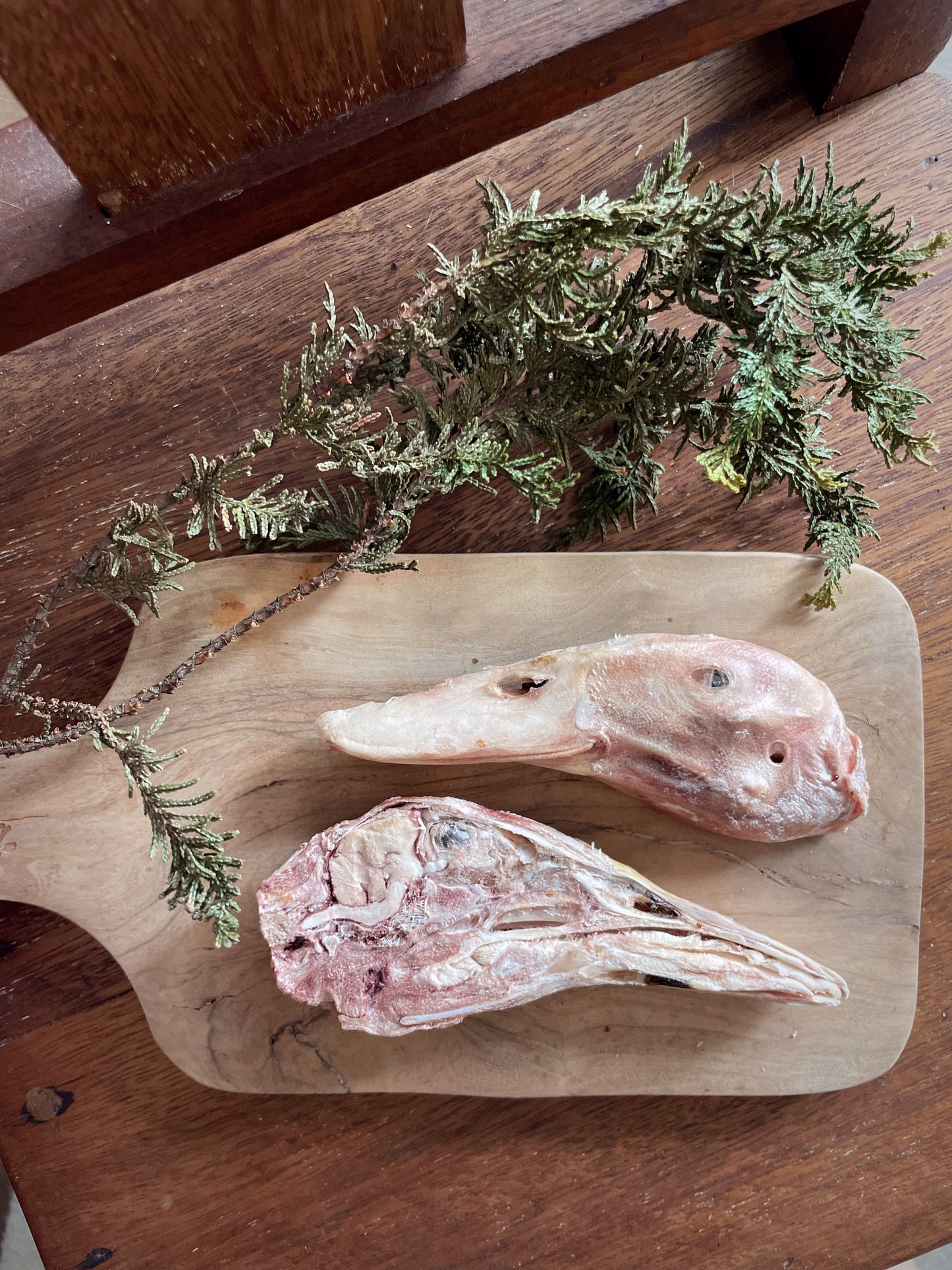 Duck Head - Halved (2 halves)