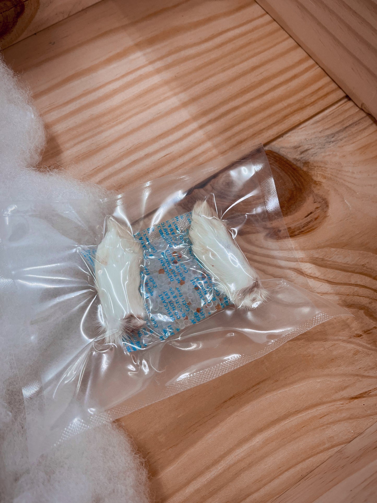 Rabbit Front Feet - 2 pcs