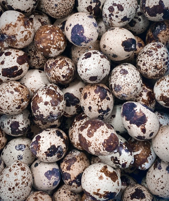 Whole Quail Eggs - 15 pcs