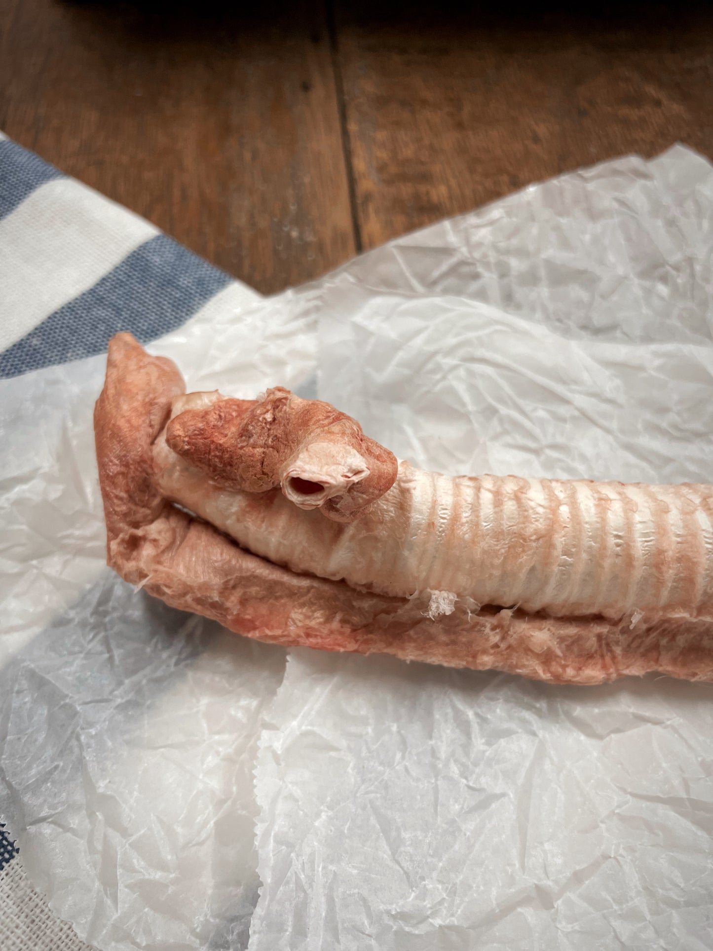 50% OFF Goat Tracheas, Esophagus - 2 pcs