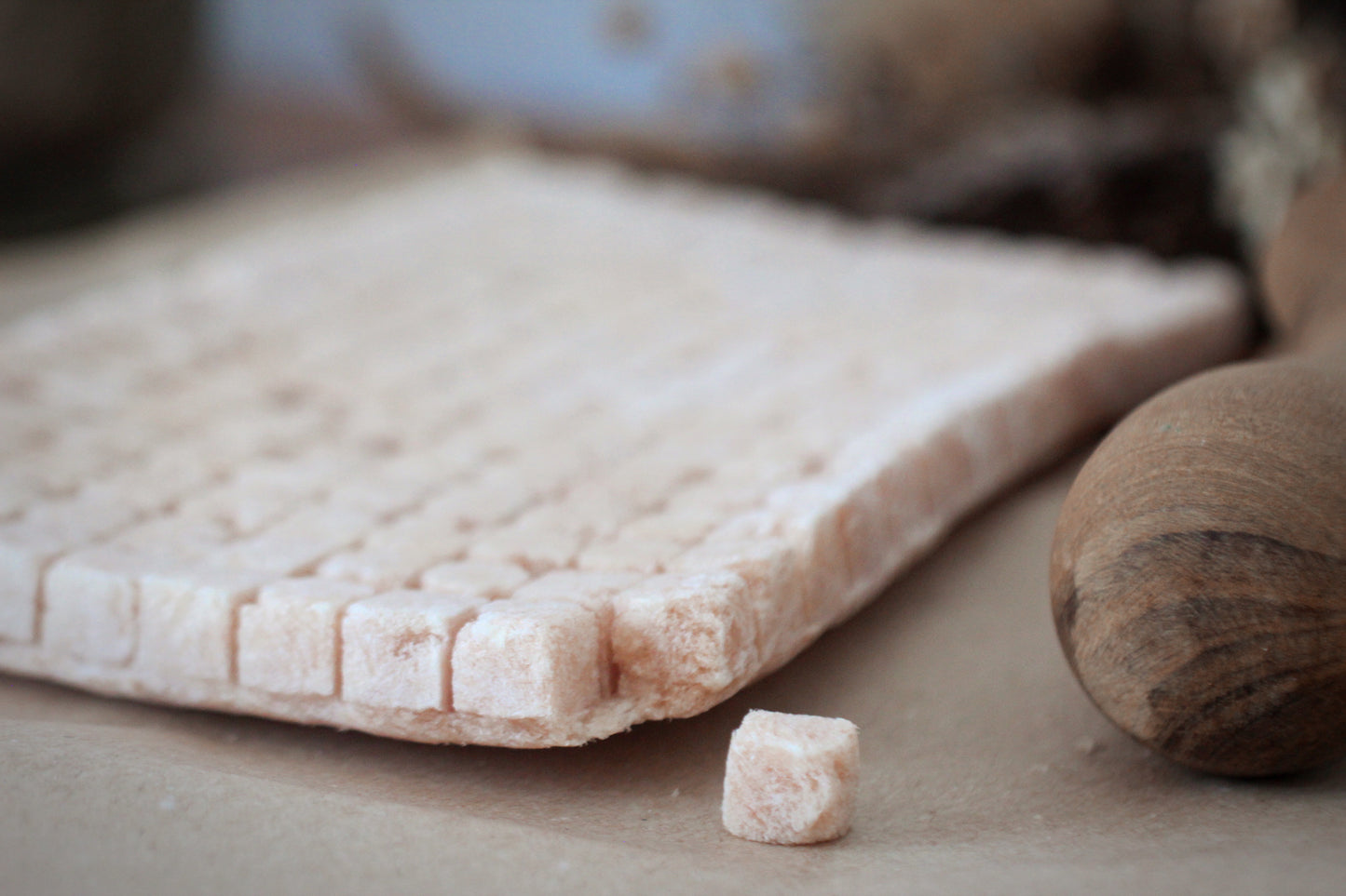 Chicken Training Treats - 1 slab (160 cubes)