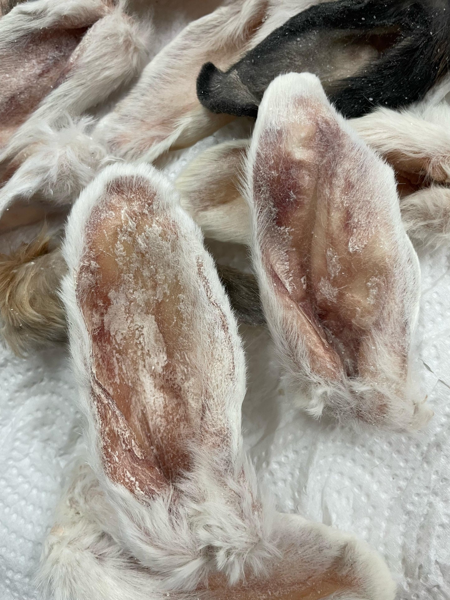 Rabbit Ears - 8 pcs