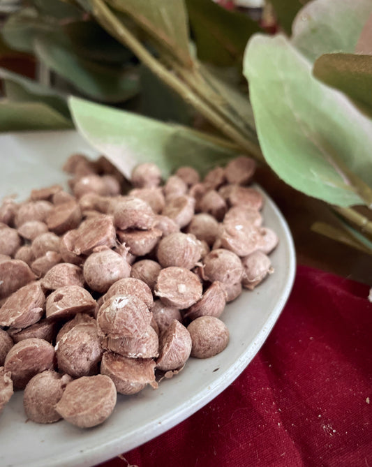 Duck Piplets - 50g