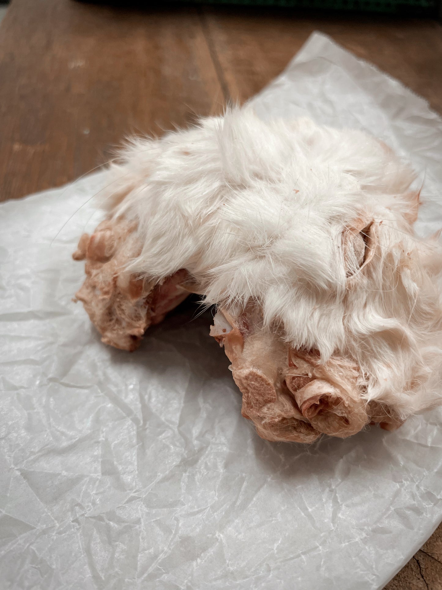 Rabbit Head With Fur - 1 pc