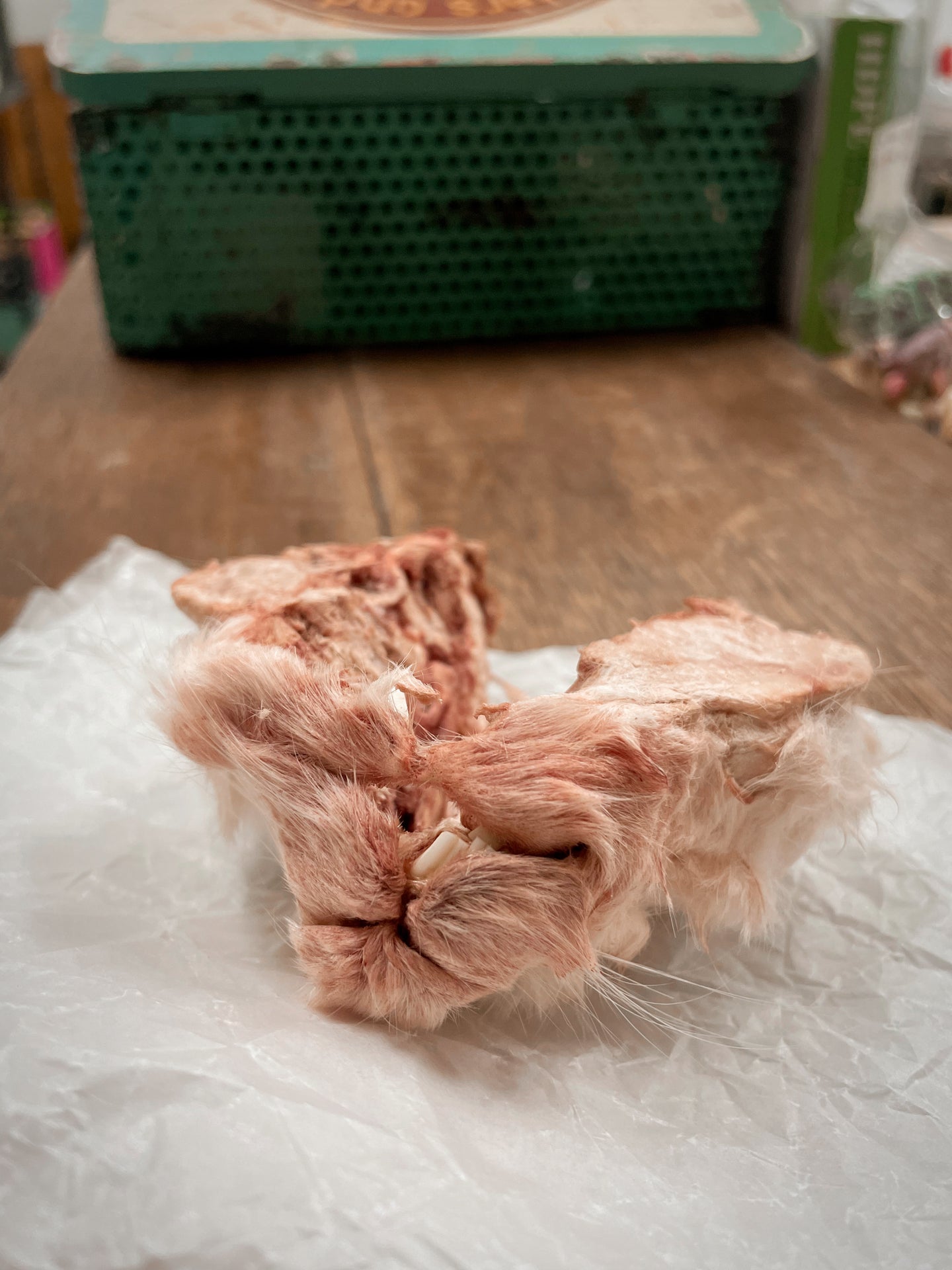 Rabbit Head With Fur - 1 pc