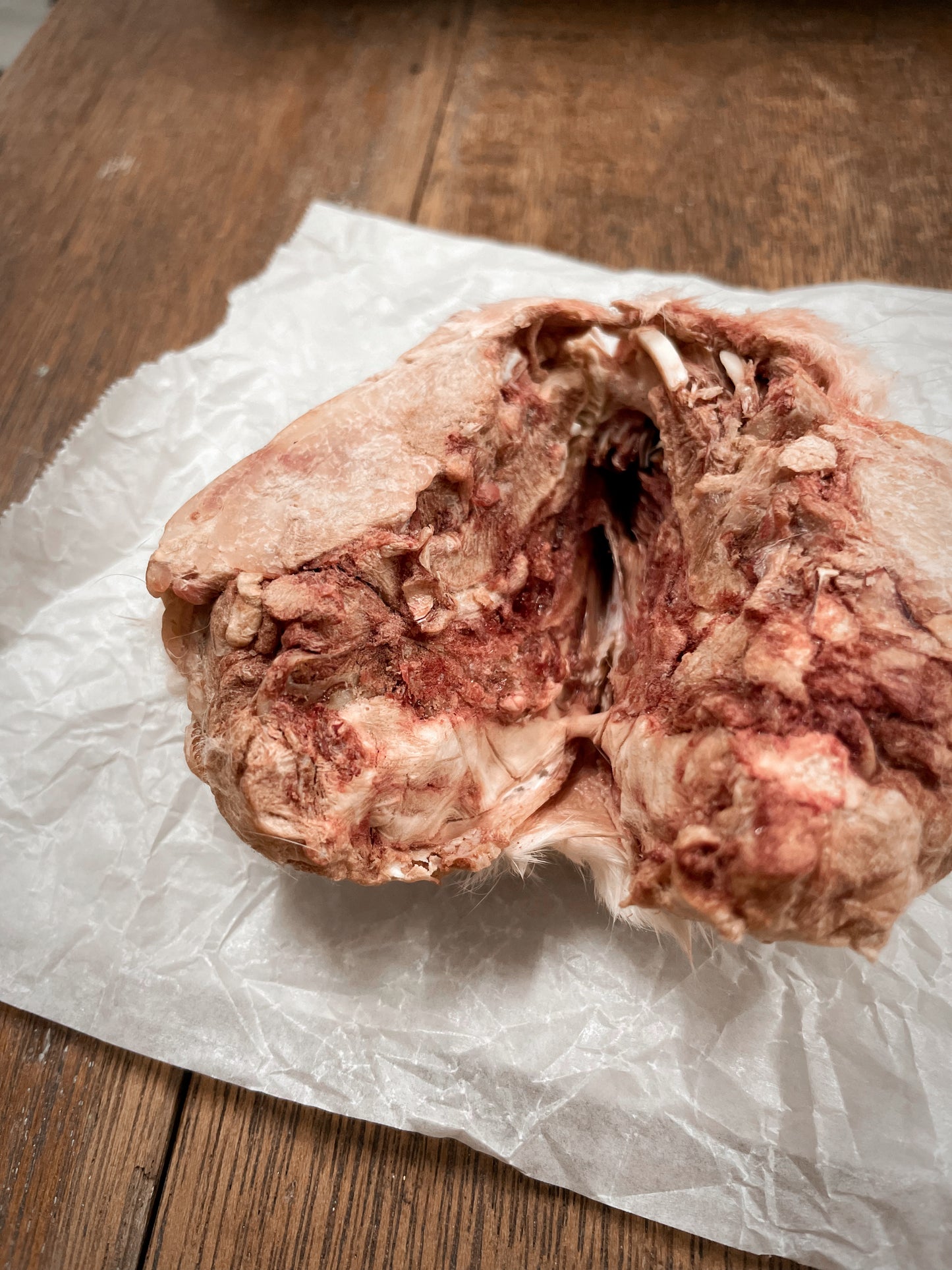 Rabbit Head With Fur - 1 pc