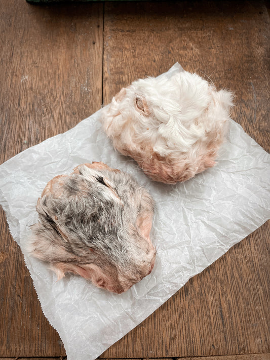 Rabbit Head With Fur - 1 pc
