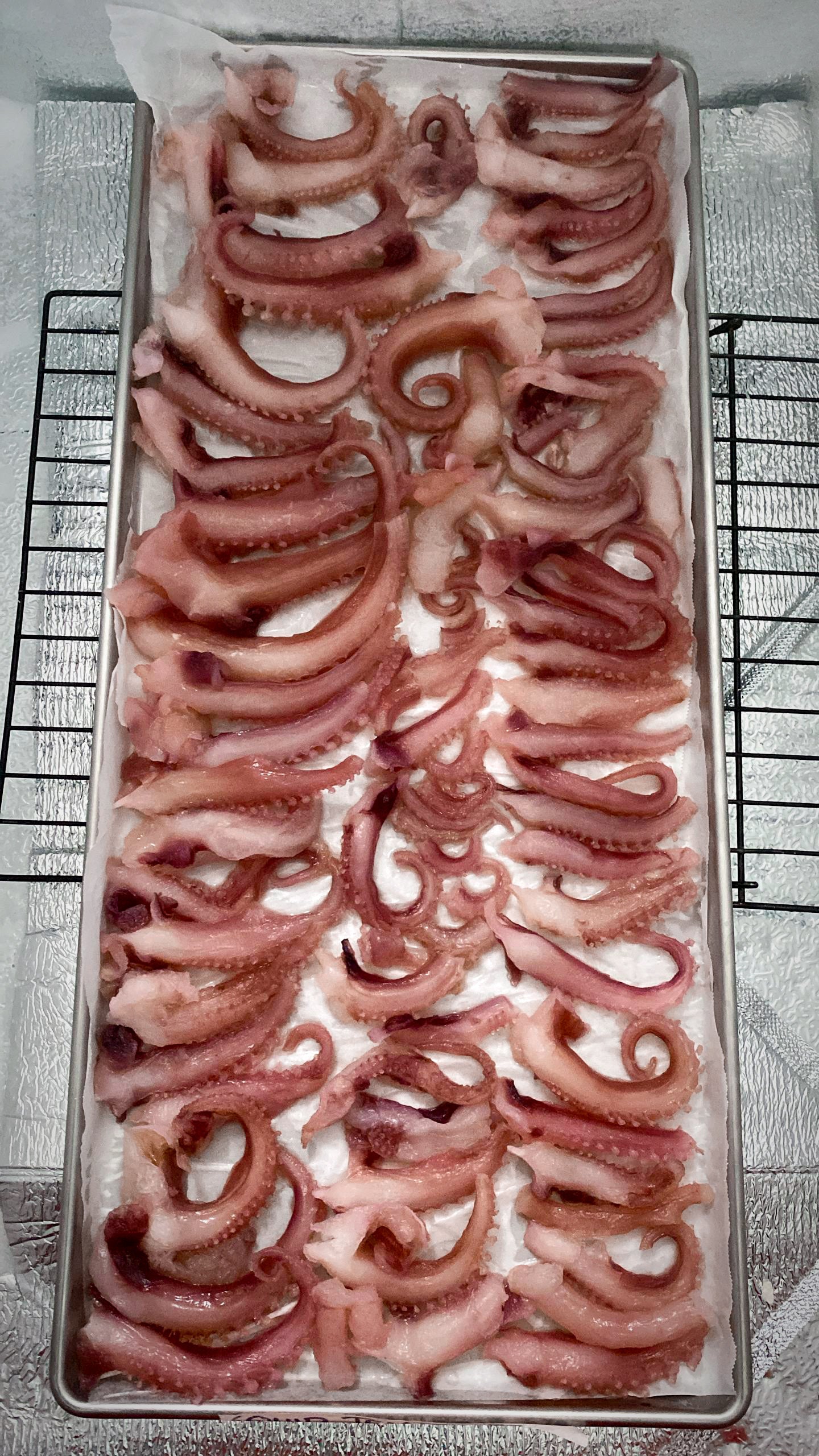 Squid Tentacles - 25g